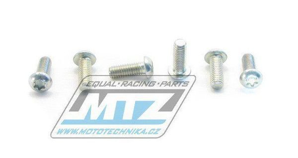 Skrutky uchytenia brzdového kotúča M6x13 (sada 6ks)