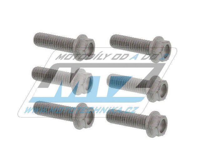 Skrutky uchytenia brzdového kotúča M6x20 (sada 6ks)