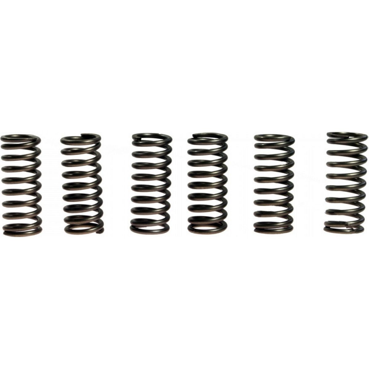 Pružiny spojky RMZ250/07-09 + GAS GAS EBC