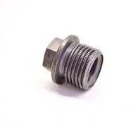 Výpustná skrutka oleja 78038018000, SCREW PLUG M17, KTM